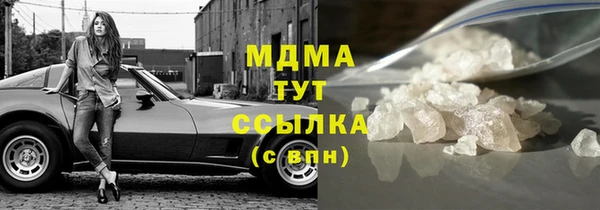 индика Бородино