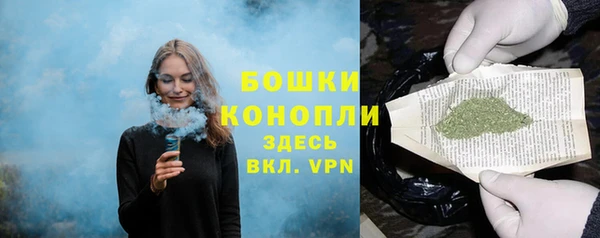 индика Бородино