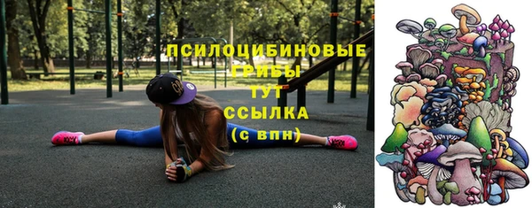 индика Бородино