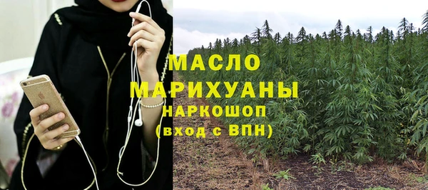 индика Бородино