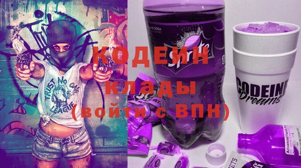 индика Бородино