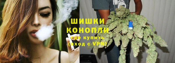 индика Бородино