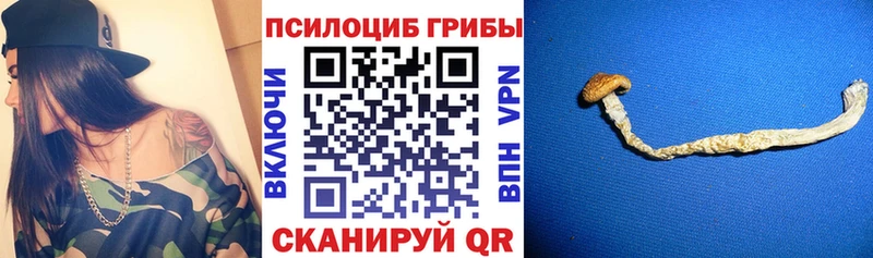 купить наркотик  Разумное  мега как зайти  Галлюциногенные грибы Psilocybe 